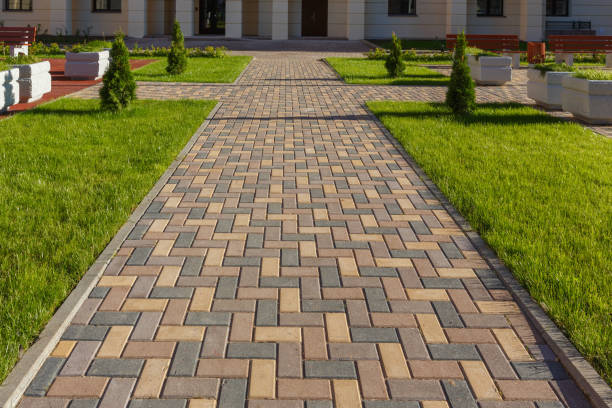 Best Driveway Paver Repairs and Restoration in Bellevue, KY